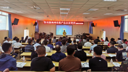 踐行一線工作法 質量月培訓活動走進茶山，精準服務賦能企業發展