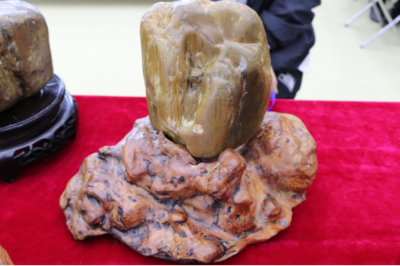 石韻煤魂，魅力海倫——首屆奇石文化旅游節盛大開幕，焦炭產業與文化盛宴交相輝映